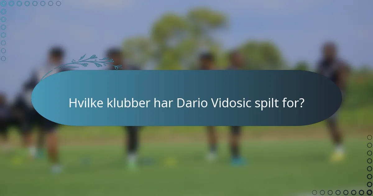 Hvilke klubber har Dario Vidosic spilt for?