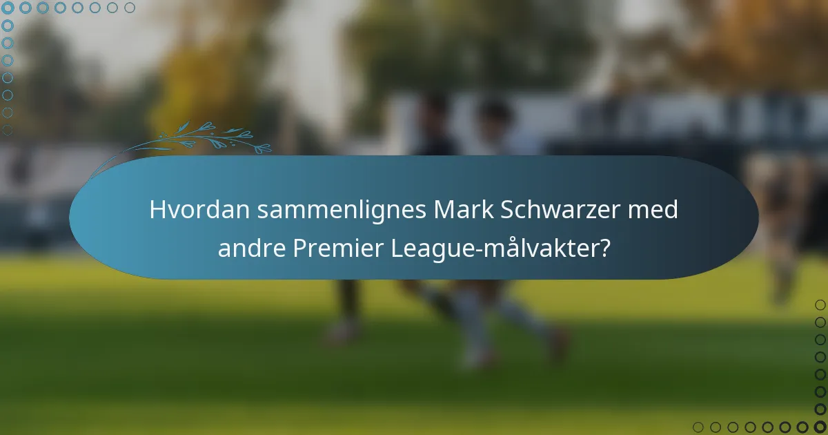 Hvordan sammenlignes Mark Schwarzer med andre Premier League-målvakter?